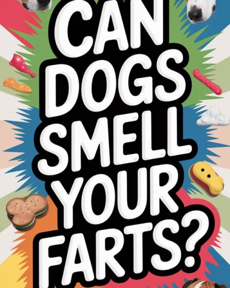 dogs can detect odors