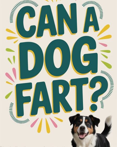 dogs can indeed fart
