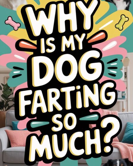 excessive dog flatulence causes