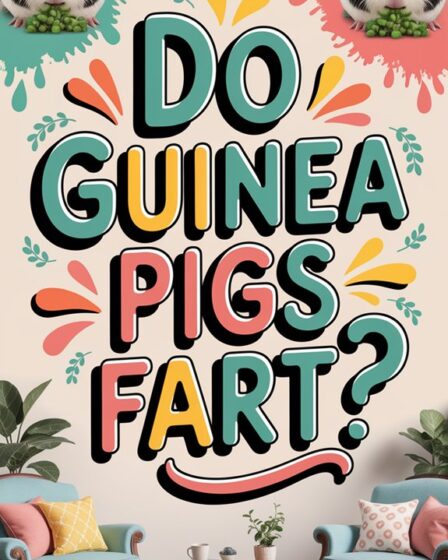 guinea pigs can fart