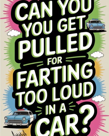 loud farting traffic violation