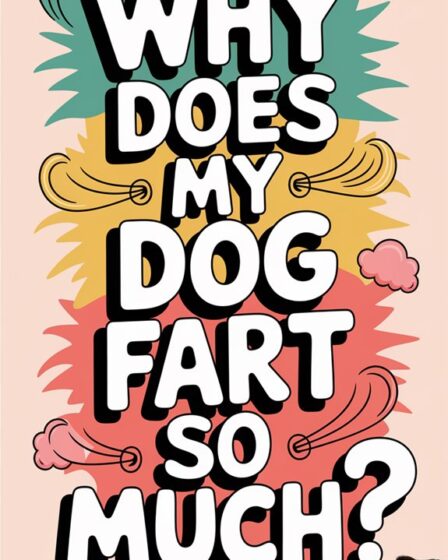 excessive gas in dogs