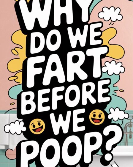 gas release before defecation