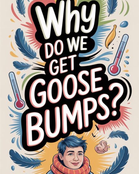 body hair stands erect