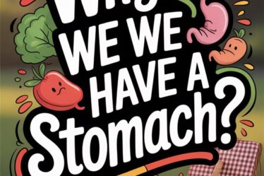 digestive process and function