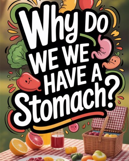 digestive process and function