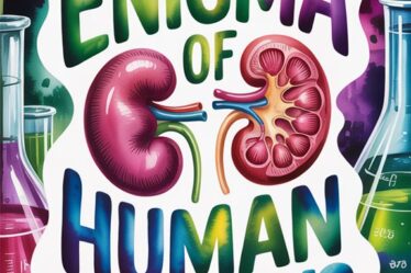 mystery of human kidneys