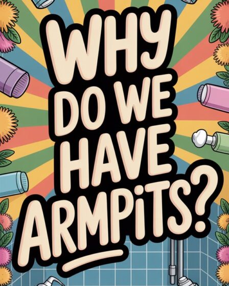 purpose of armpit sweat glands