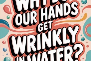 skin absorption causes wrinkling