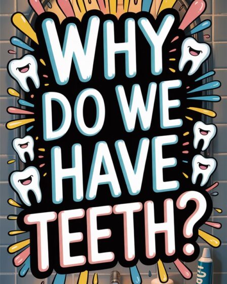teeth help us eat