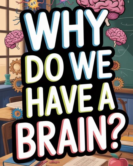 understanding brain s purpose