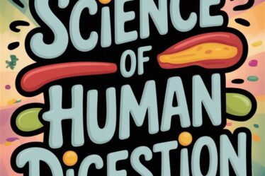 understanding digestion processes